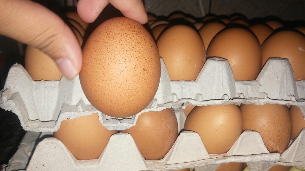 huevos