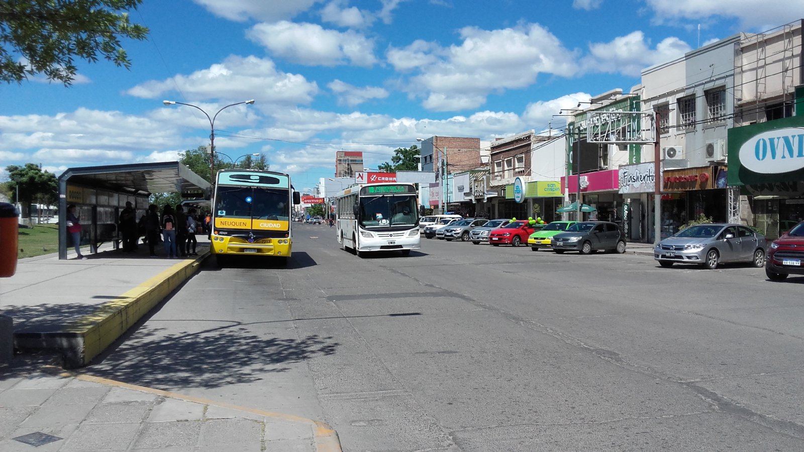colectivo