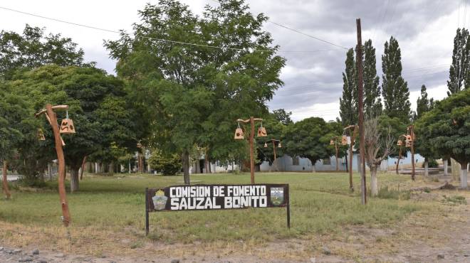 sauzal-bonito