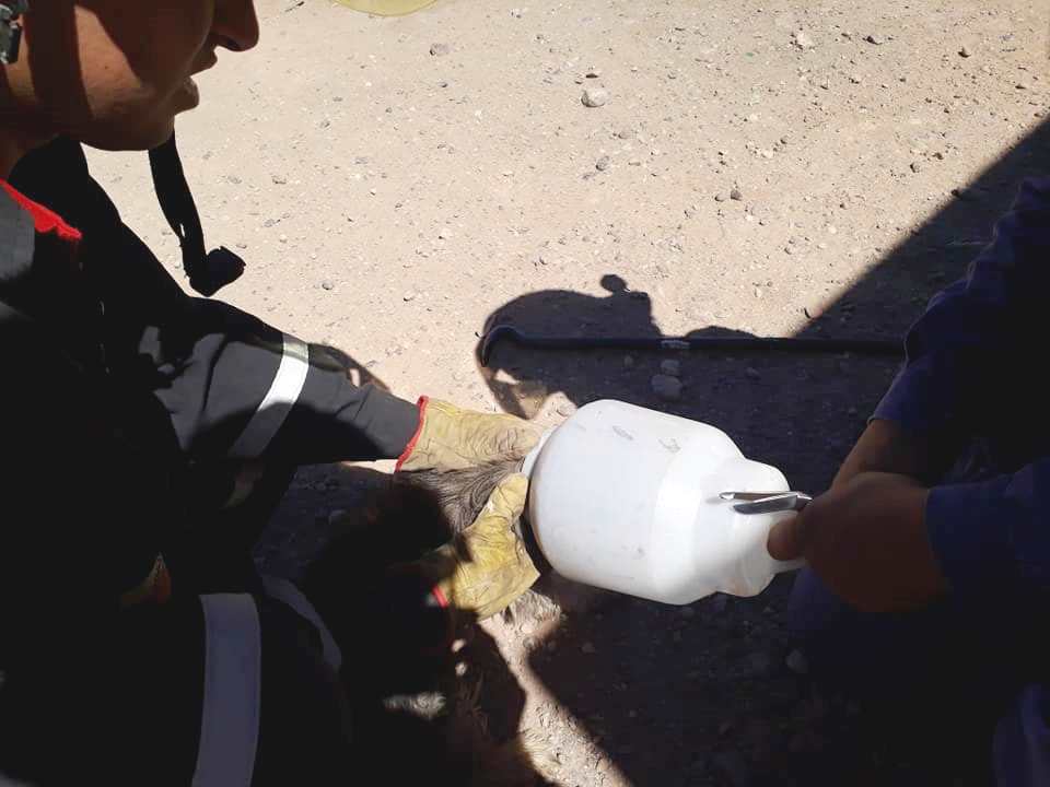 bomberos