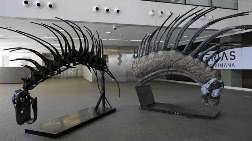 dinosaurio