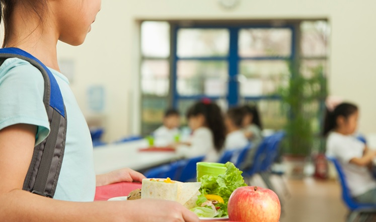 ALIMENTACION SALUDABLE