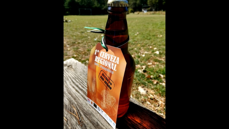 cerveza-producida-inta-1-nqn