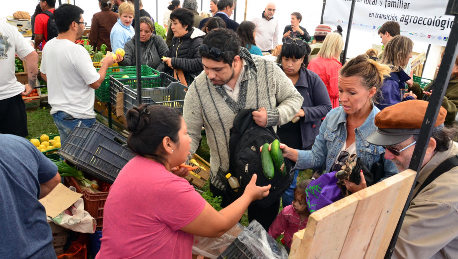 vf-feria-agroecologica-04-1-1