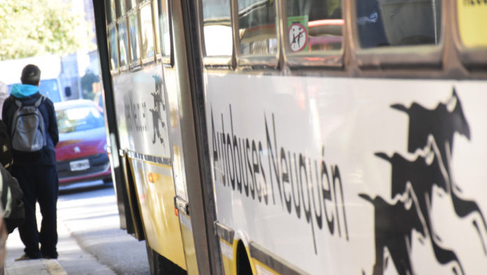 colectivo