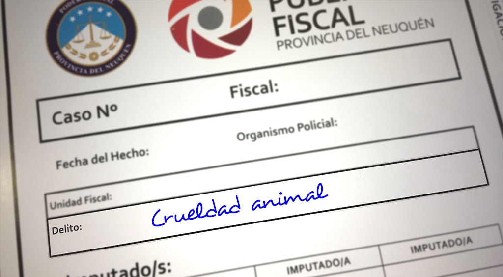 Crueldad_animal