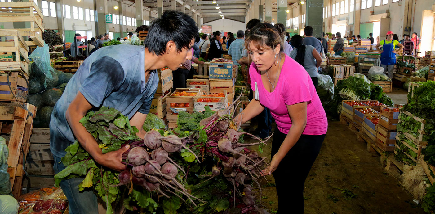 MERCADO CONCENTRADOR
