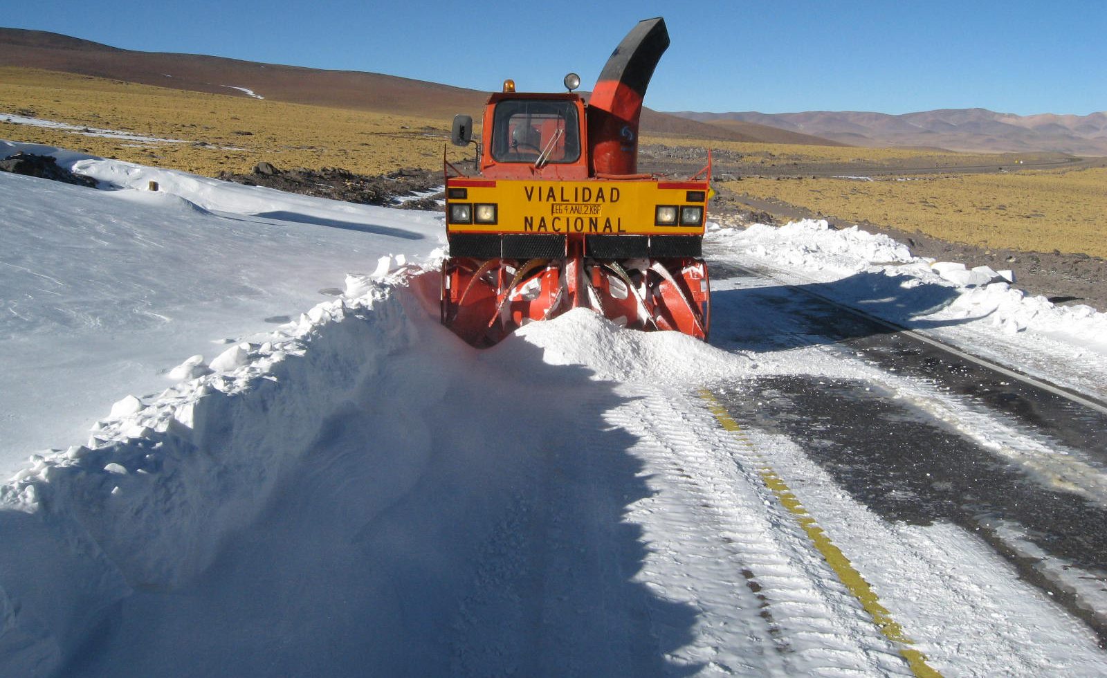 NIEVE