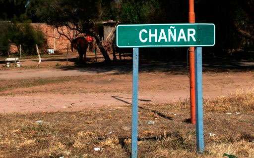 chañar