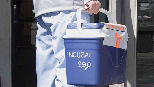 donación-de-órganos-incucai-foto-de-RedAcción