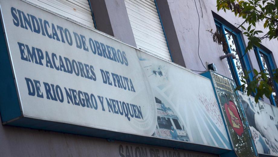 sindicato