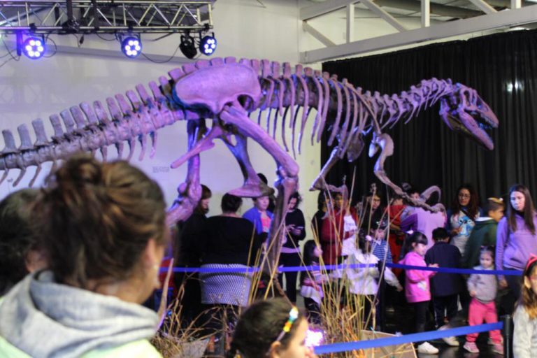 Vacaciones-DINO-2t-11.57.51-768x512