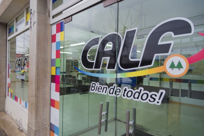 calf