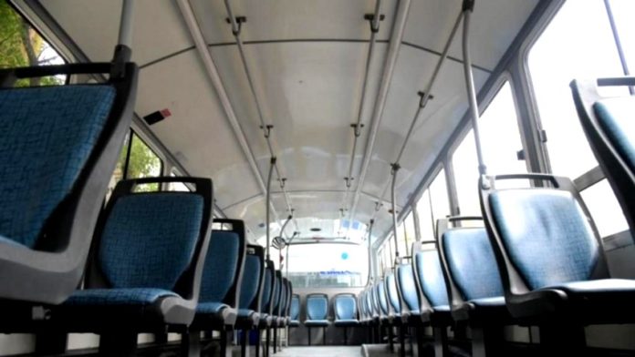colectivo