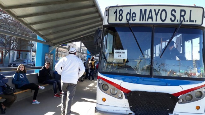 colectivo