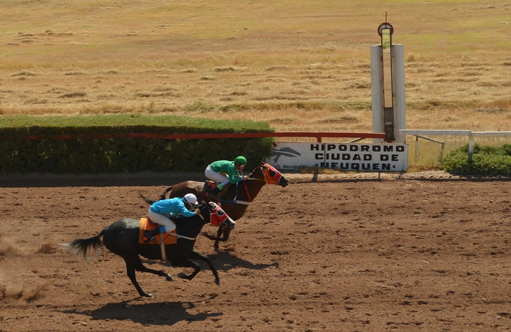 hipodromo