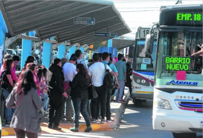 Colectivo