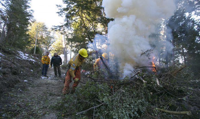 Neuquen...Villa-la-Angostura.-Jorge-Lara-recorriron-los-trabajos-del-manejo-del-fuego-en-de-remocion-de-ramas-sobres-lineas-electricas-que-se-realizan-en-VLA_08A9325-696x413