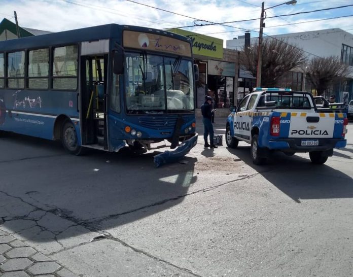 colectivo