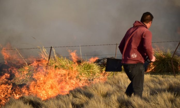 fuego