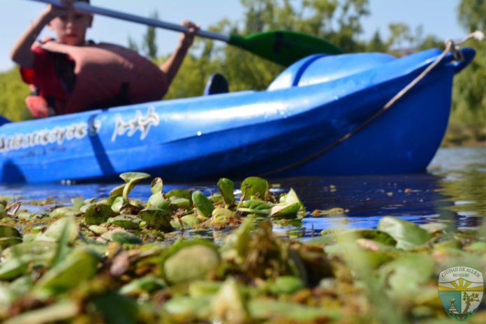kayak