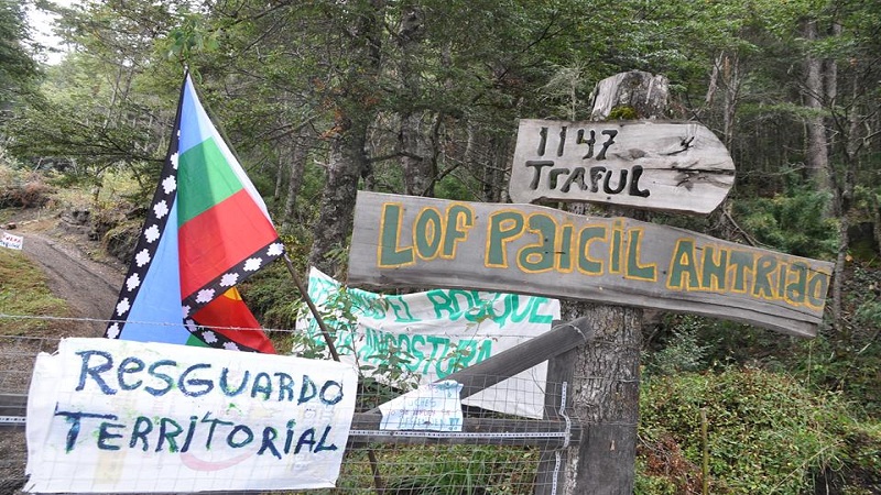 mapuche