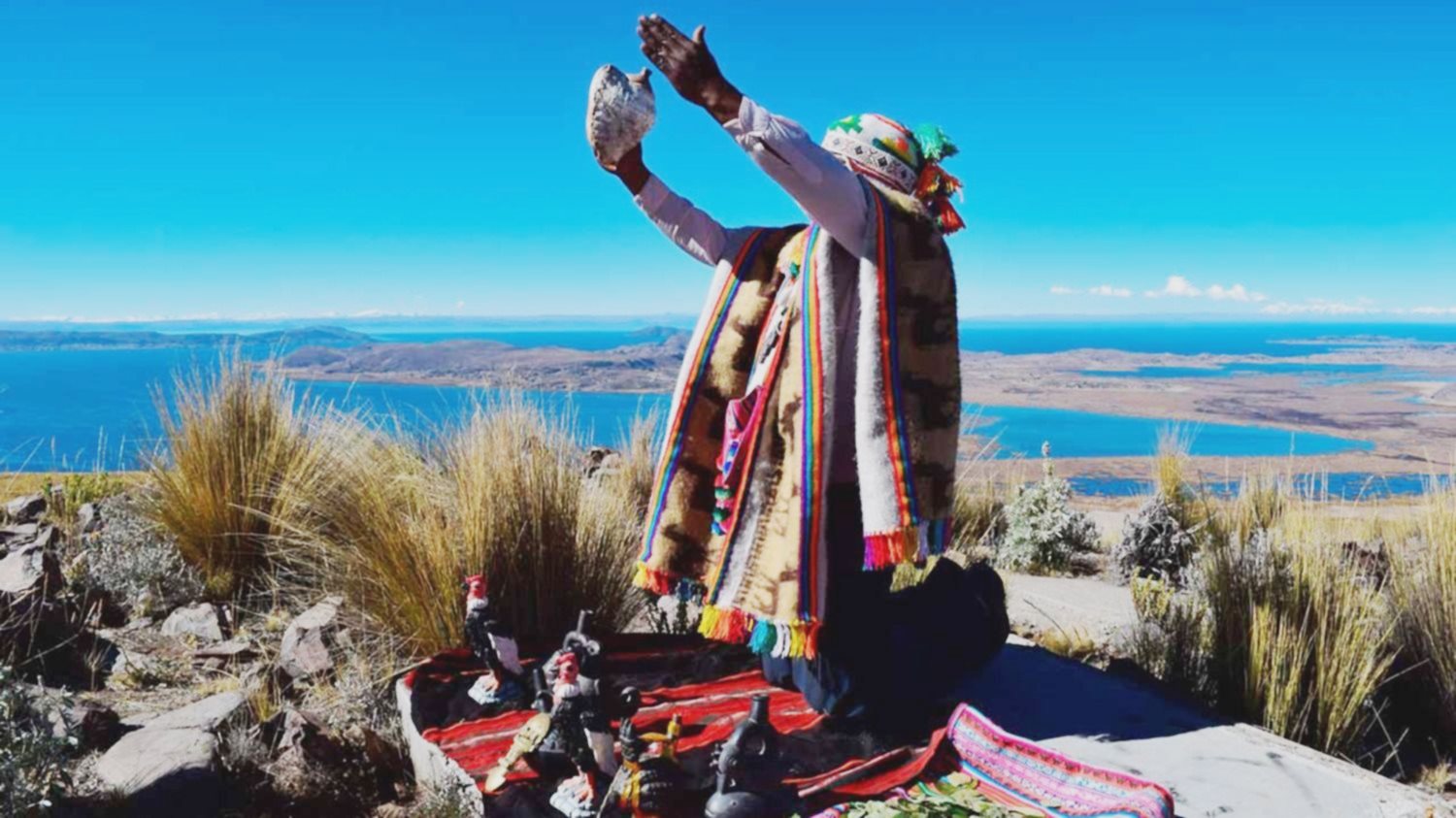 mapuche