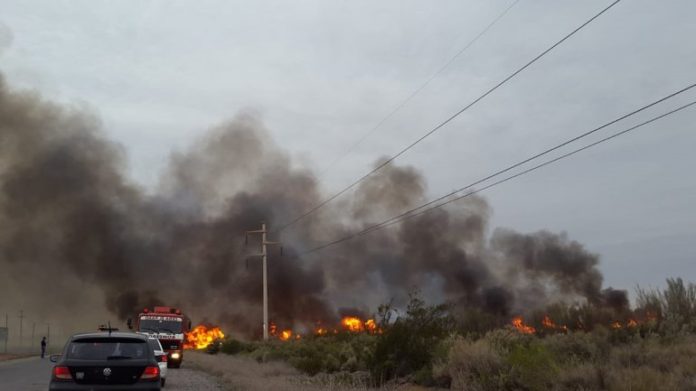 fuego