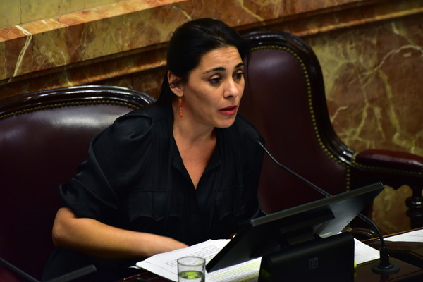 Carmen+Lucila+Crexell+Argentina+Senate+Votes+4MH9BMPMGbIl