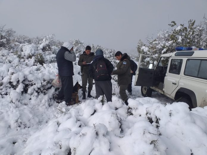 nieve