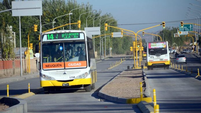 colectivo