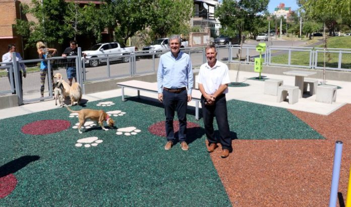 Plaza-perros-2-768x454