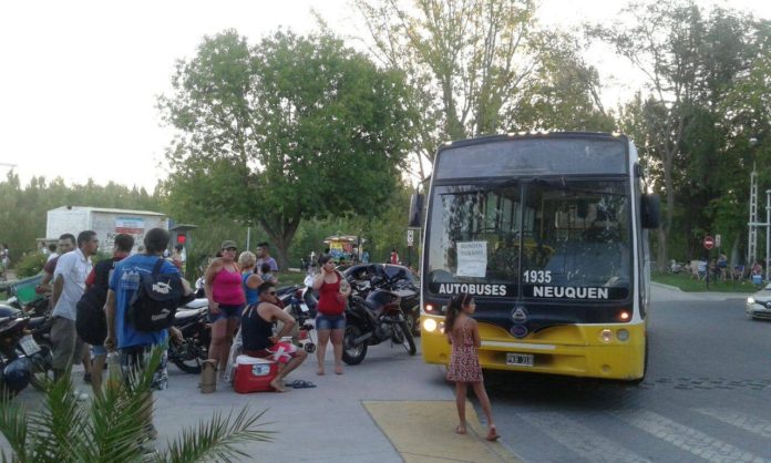 colectivo1