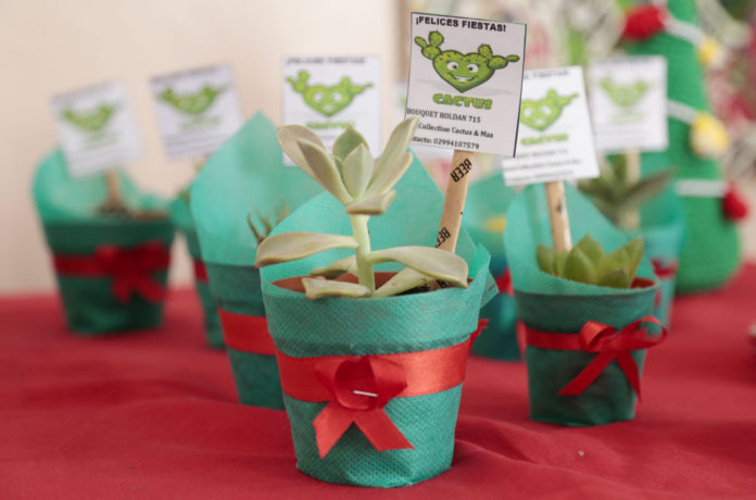 NQN 05-12-2019 PRESENTACION FERIA GERMINAR