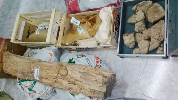 piezas_fosiles_arqueologicas