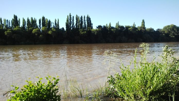 rio-negro