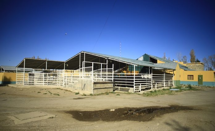 zapala