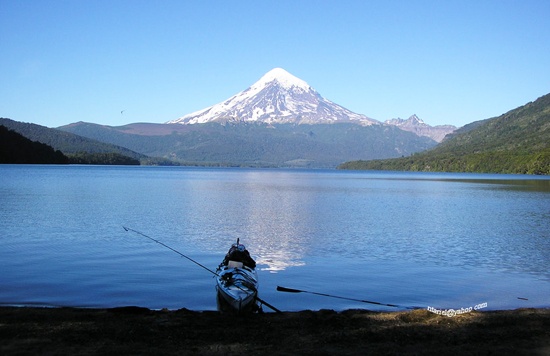 lanin-pn