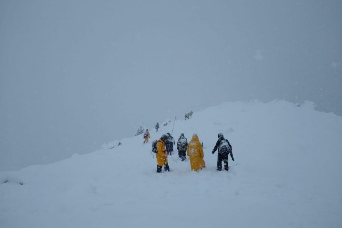 san-martin
