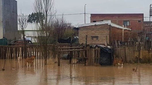 0005074790