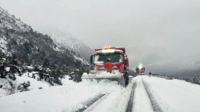 nieve