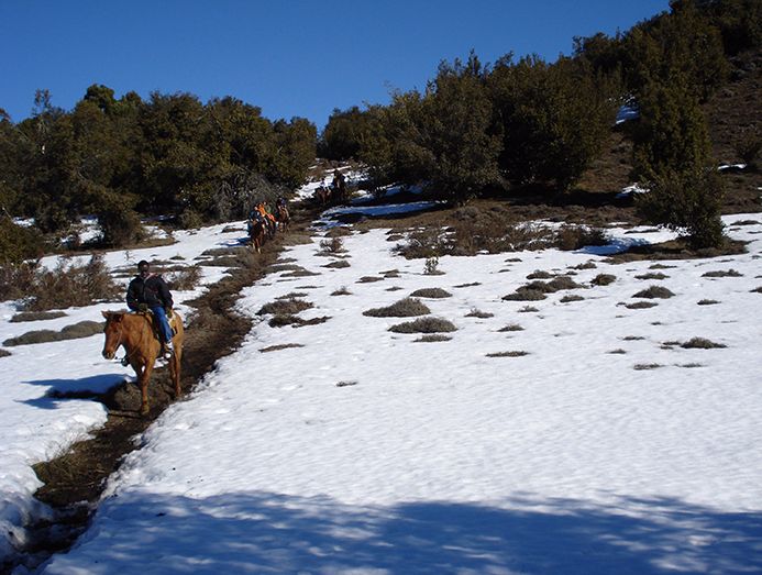 nieve