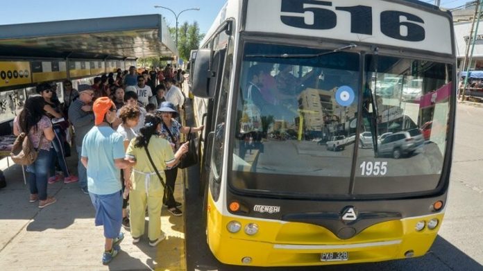 colectivo