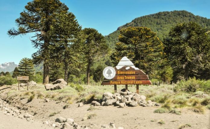 lanin-parque