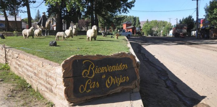las ovejas