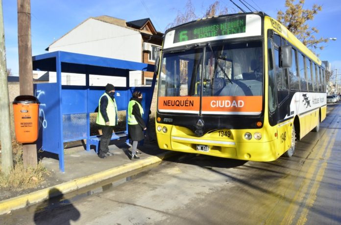 colectivo