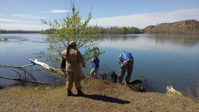 limay