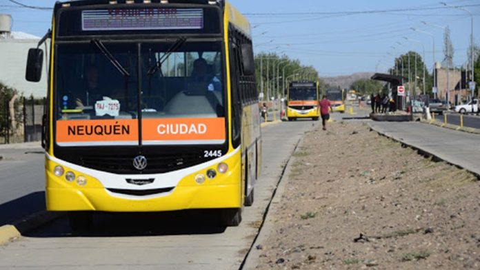colectivo