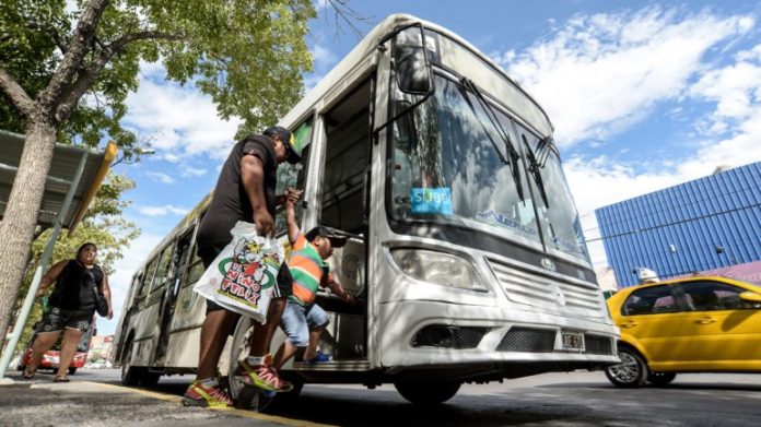 colectivo