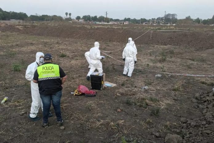 investigacion